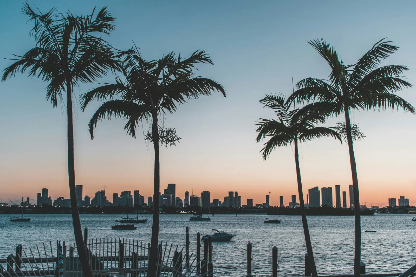 Florida landscape