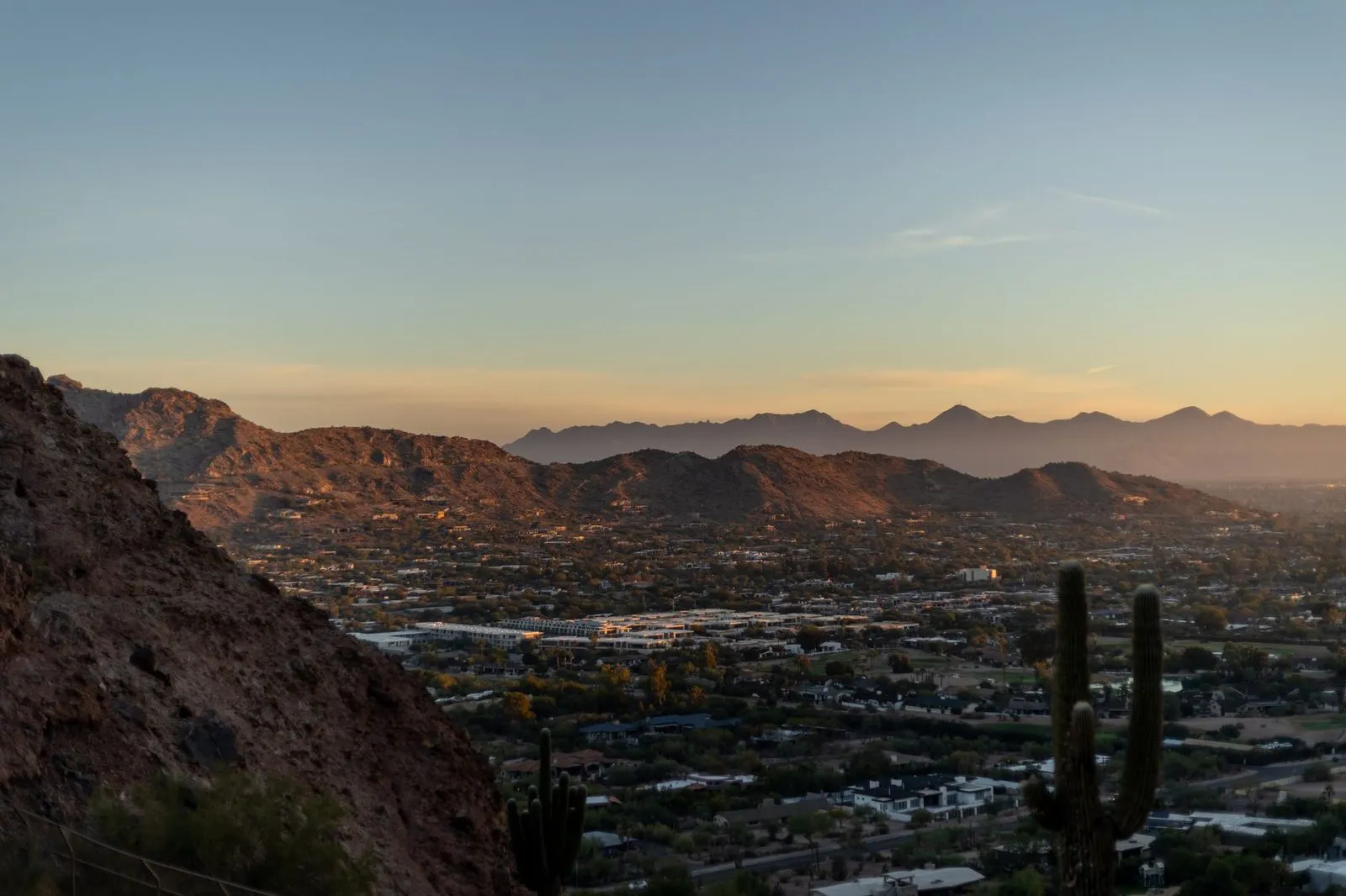 Phoenix rooftops against desert mountains, with saguaro silhouettes in the foreground