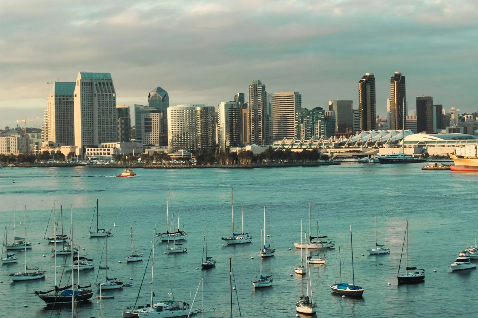 The San Diego skyline above the harbor