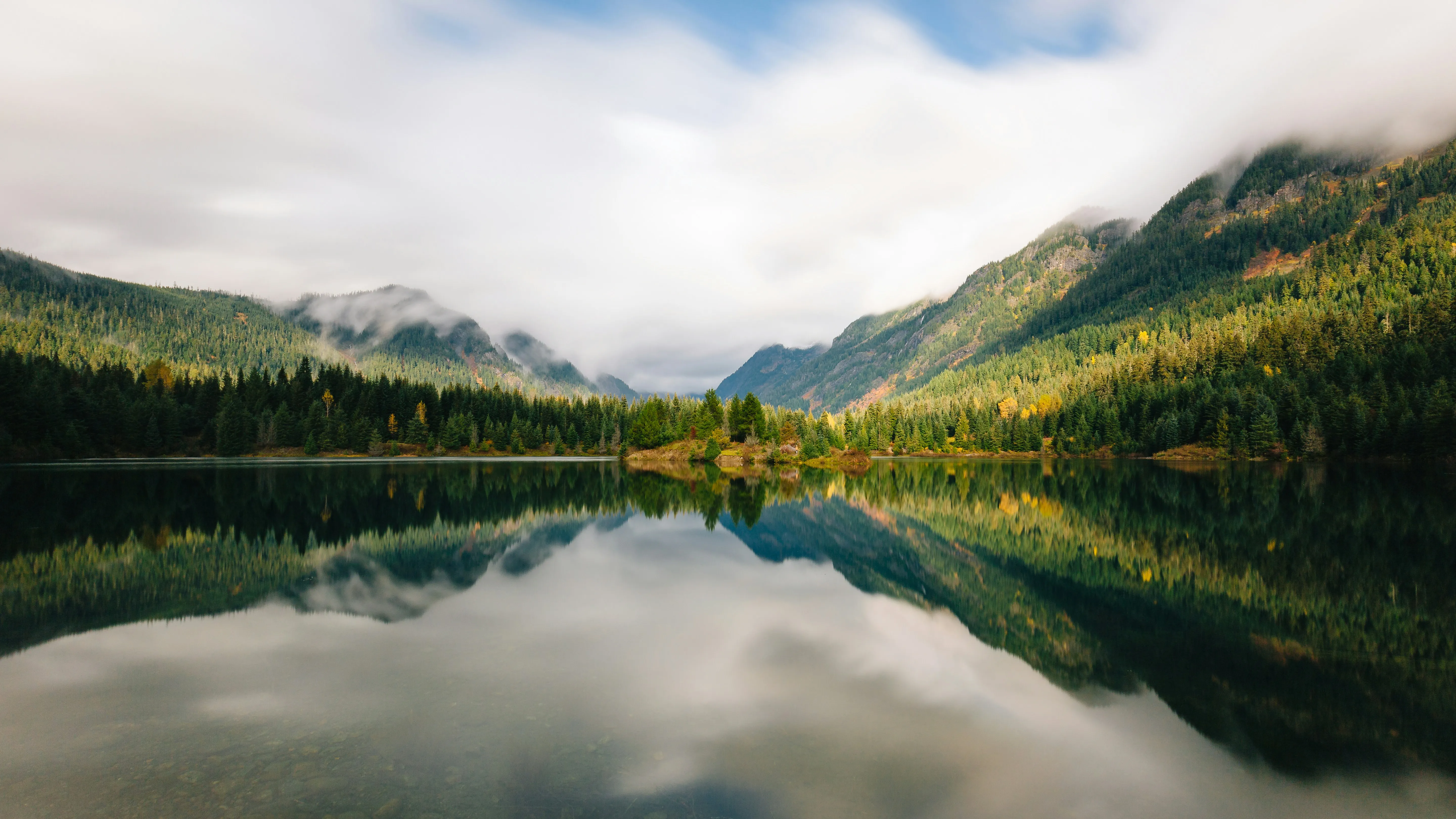 Washington landscape